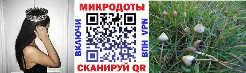Галлюциногенные грибы мухоморы  гидра   Туринск 
